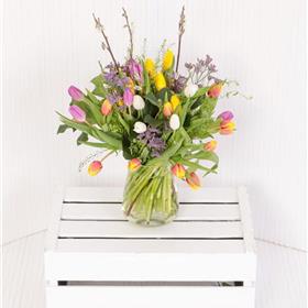 fwthumbPussy Willow Tulips.jpg